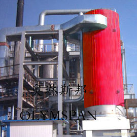 Electric Gas Fired Thermal Oil Boiler 1.6 Mpa With Horizontal And Vertical